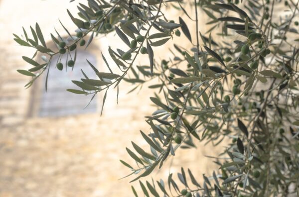 Waarom je Another Self moet kijken als je wilt begrijpen hoe familieopstellingen werken