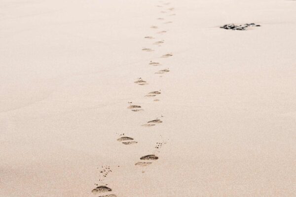 Waarom we doorgaan met wat ons schaadt door chronische stress